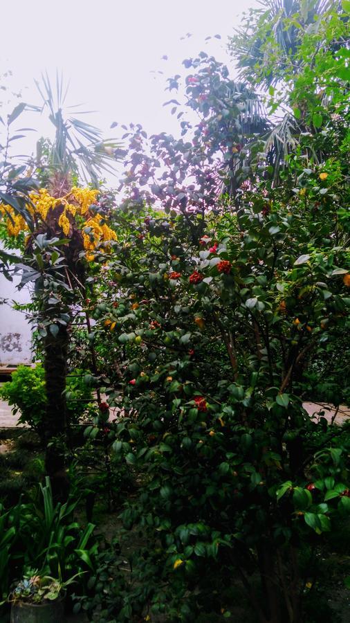 Colibri Home Kutaisi Luaran gambar